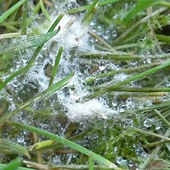 Poista lumihome Poista lumihome